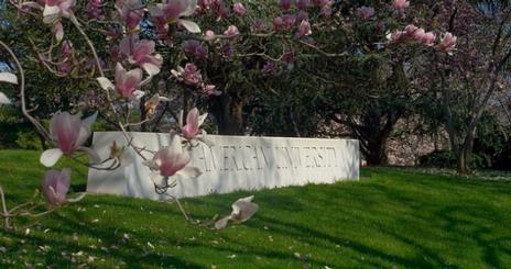 spring at tenley